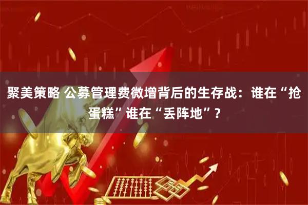 聚美策略 公募管理费微增背后的生存战：谁在“抢蛋糕”谁在“丢阵地”？