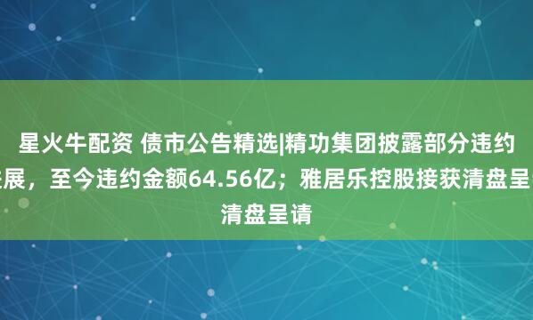 星火牛配资 债市公告精选|精功集团披露部分违约进展，至今违约金额64.56亿；雅居乐控股接获清盘呈请